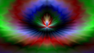 Colorful flower with a red - a colorful flower free wallpaper