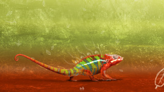 Colorful lizard red surface green 2 - background behind free wallpaper