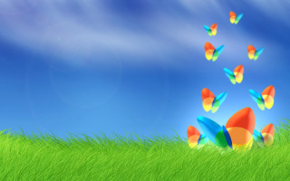 Butterflies flying field grass blue - a green grass field free wallpaper for desktop