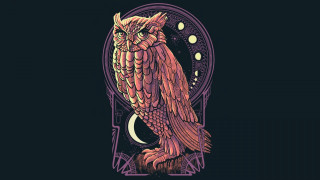 Owl tree branch crescent background - top of a tree branch free wallpaper