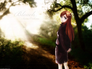 Girl red hair forest path - long red hair free wallpaper