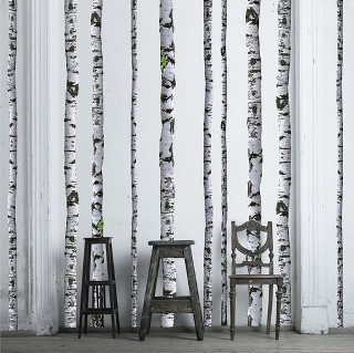 Chair stool wall birch trees - a chair in front free wallpaper for tablet