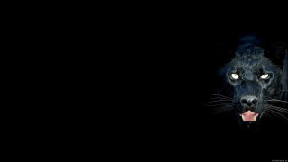 Black panther mouth open glowing - a black panther free wallpaper for desktop