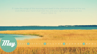 Marsh morning internet part sea - dave arredondo free wallpaper
