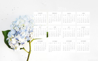 Blue flower calendar green leaf - a blue flower free wallpaper