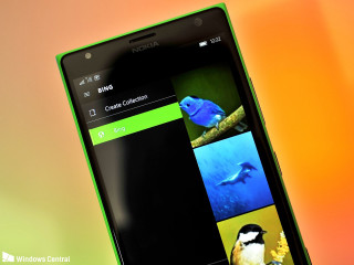 Cell phone birds window logo - vibrant colour free wallpaper