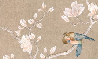 Bird branch flowers back bird - painting free wallpaper