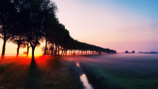 Trees field sunset fog water - eric deschamps free wallpaper for desktop