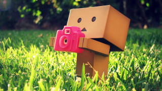 Toy camera cardboard figure grass - its back free wallpaper for desktop