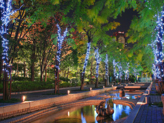 Park pond trees lights nighttime - a pond and trees free wallpaper for desktop