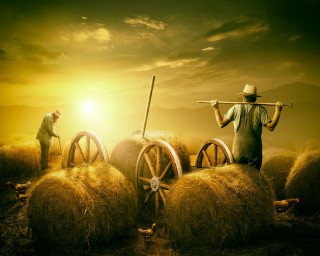 Man stick wagon hay man - a wagon free wallpaper