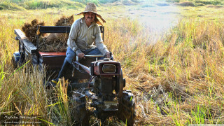 Man riding tractor field tall - estuardo maldonado free wallpaper