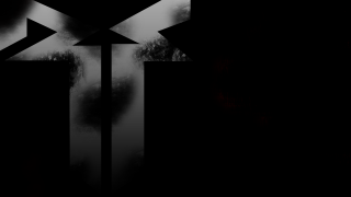 Cross trees fog black white - carlos trillo name free wallpaper for desktop