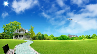 Bench grass field house bird - field next free wallpaper for desktop