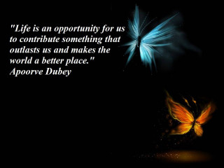 Butterfly flying dark quote opportunity - better free wallpaper