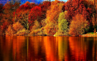 Lake trees orange red leaves - bob ross free wallpaper
