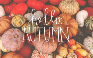 Hello autumn pumpkins pile fall - the word free wallpaper