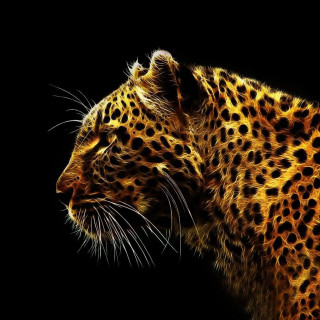 Leopard closeup fireworks glow kaijuu - oil painting free wallpaper for tablet