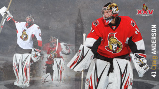 Hockey player team poster photo - a hockey player free wallpaper for desktop