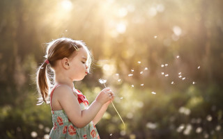 Little girl blowing dandelion sun - little free wallpaper