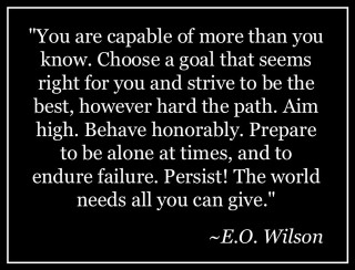 Eowilson inspirational poetry mosaic elfsmith - mosaic free wallpaper