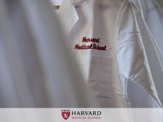 White shirt harvard logos microscopic - professional photo free wallpaper for desktop