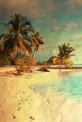Beach palm trees boat water 2 - the water and a person free wallpaper