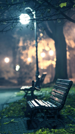Park bench sidewalk tree night - free other wallpaper for mobile