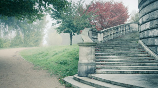 Stone staircase pillar tree foggy - a foggy day free wallpaper