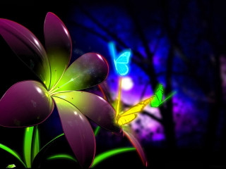 Flower butterfly night sky dark - the dark night sky free wallpaper