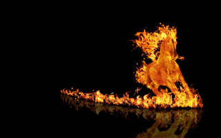 Horse running fire reflection water - its reflection free wallpaper