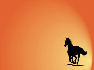 Horse running sunset orange yellow - the sunset free wallpaper