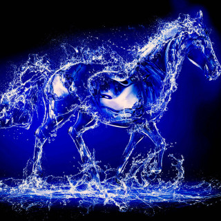 Horse water blue black white - boleslaw cybi free wallpaper for tablet