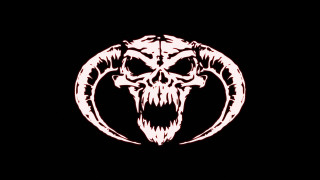 Black white skull large photo - round free wallpaper