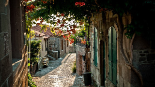 Narrow alley stone building green - a stone building free wallpaper
