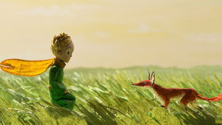 Little boy field fox bird - a little boy free wallpaper for desktop