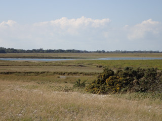 Field water trees distance scenery - the distance in the distance free wallpaper