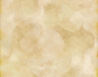 Beige yellow white yellow white - a beige background free wallpaper