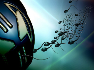 Soccer ball plant background closeup - mass effect free wallpaper for desktop