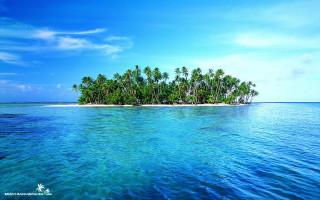 Small island palm trees ocean 4 - the middle of the ocean free wallpaper