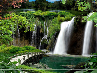 Waterfall bridge forest river nature - the middle of a forest free wallpaper for desktop