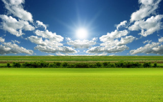 Sunlit field grass trees blue - a bright sun in the sky above free wallpaper