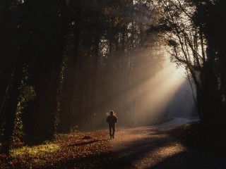Person walking path woods sun - volumetric light free wallpaper for desktop