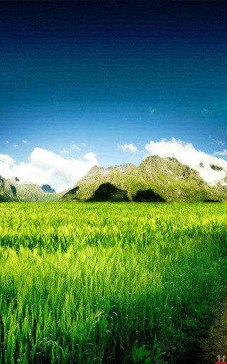 Dirt road green field mountains 3 - free spring wallpaper for mobile