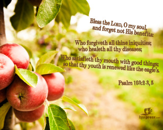 Tree fruit bible verse lord - free love wallpaper