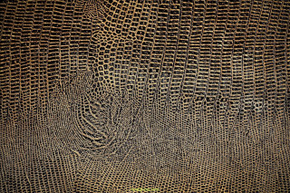 Close up textured surface green - texture free wallpaper