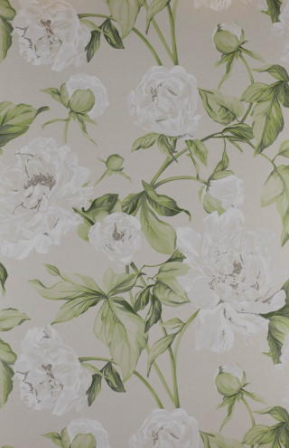 Flower pattern green leaves wallpaper - the top of the wall free wallpaper