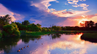 Sunset lake ducks trees background - a sunset over a lake free wallpaper