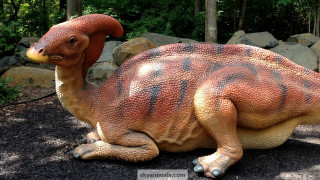 Dinosaur statue gravel field forest - a forest area free wallpaper