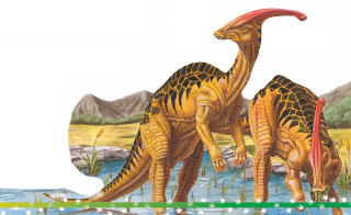 Dinosaurs pond bird head neck - illustration free wallpaper